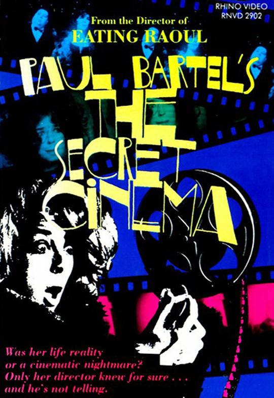 秘密电影院 The Secret Cinema (1968)