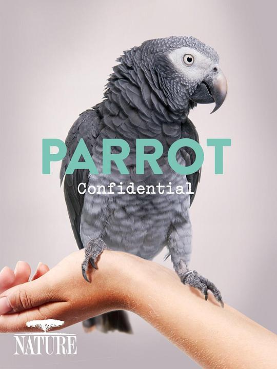 自然世界：解密鹦鹉 Parrot Confidential (2013)