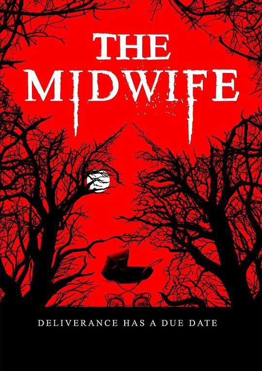 助产士 The Midwife (2021)