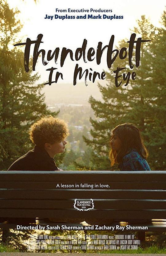 我眼中的电闪雷鸣 Thunderbolt In Mine Eyes (2020)