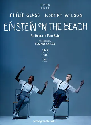 爱因斯坦在沙滩上 Einstein on the Beach (2014)