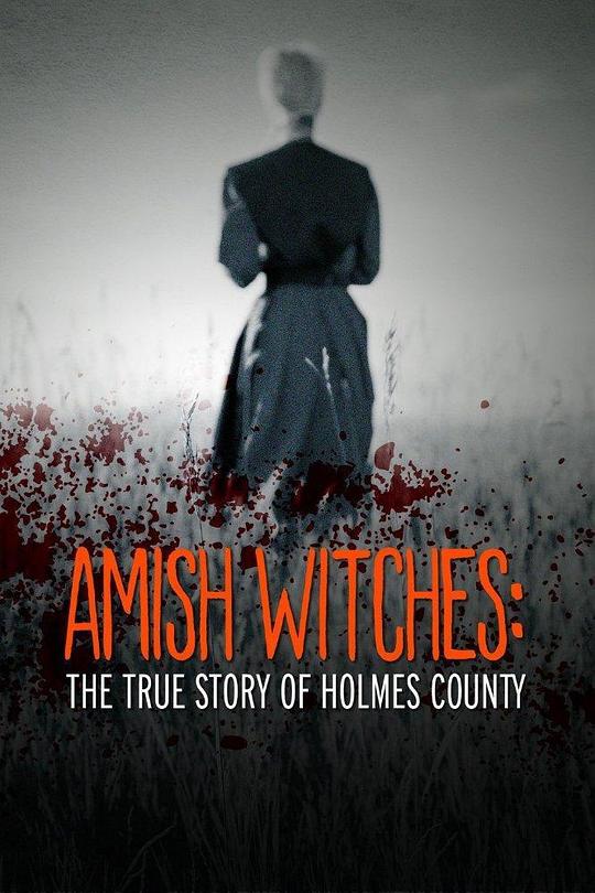 阿米什巫师-霍尔姆斯县写实 Amish Witches: The True Story of Holmes County (2016)