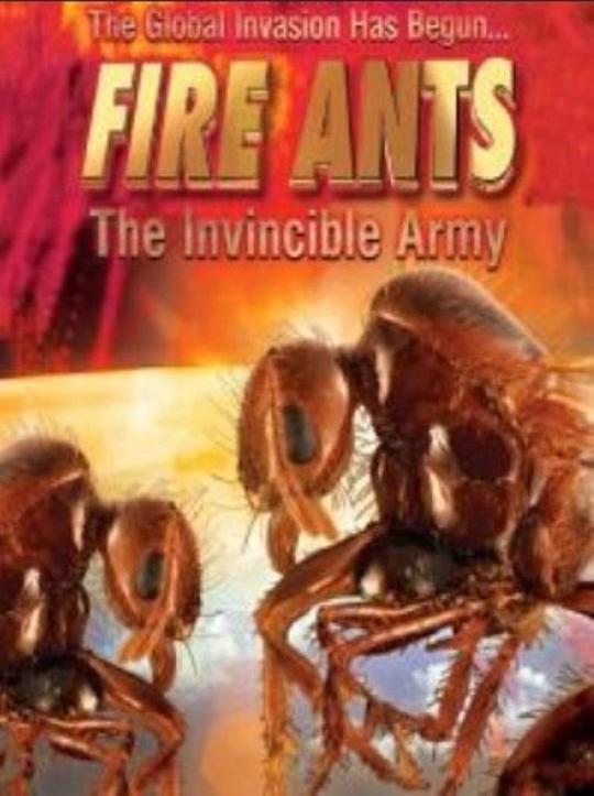 红火蚁：不可战胜的兵团 Fire Ants 3D: The Invincible Army (2012)