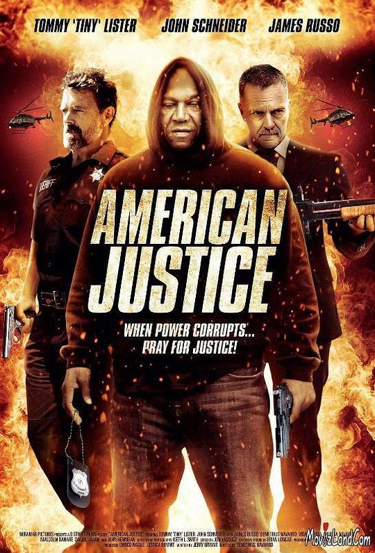 美国司法 American Justice (2015)