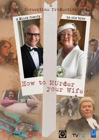 谋杀妻子的正确姿势 how to murder your wife (2015)