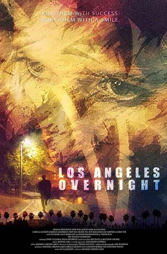 洛杉矶的夜晚 Los Angeles Overnight (2018)