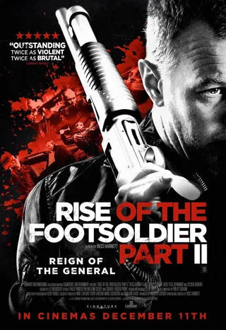 从足球流氓到黑帮崛起2 Rise of the Footsoldier Part II (2015)