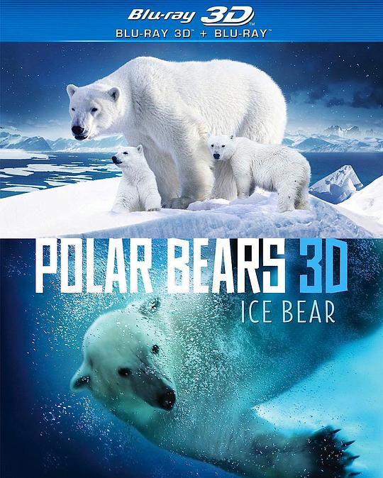 北极熊冰熊 Polar Bears Ice Bear (2013)