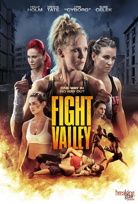 搏击谷 Fight Valley (2016)