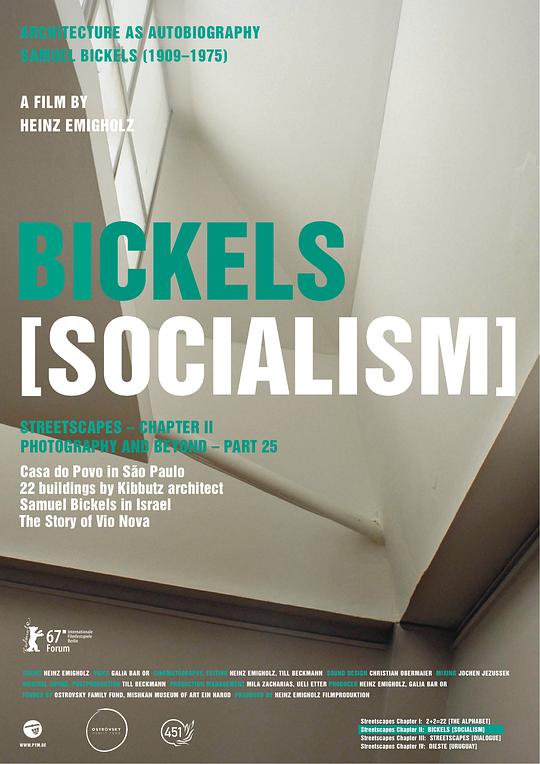 街市风景：主义篇 Bickels: Socialism (2017)