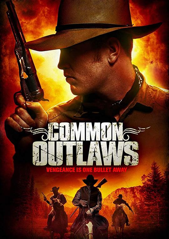 常见的法外之徒 Common.Outlaws (2014)