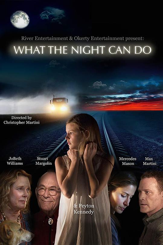 夜晚能做什么 What the Night Can Do (2020)