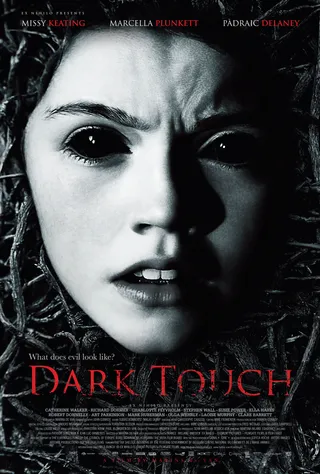 黑暗中的触摸 Dark Touch (2013)