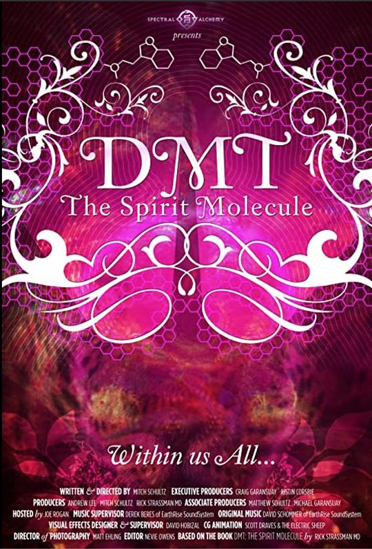 二甲基色胺：精神分子 DMT: The Spirit Molecule (2010)