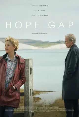 希望沟壑 Hope Gap (2019)