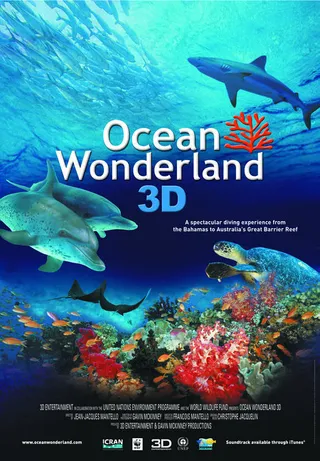 海洋仙境 Ocean Wonderland (2003)