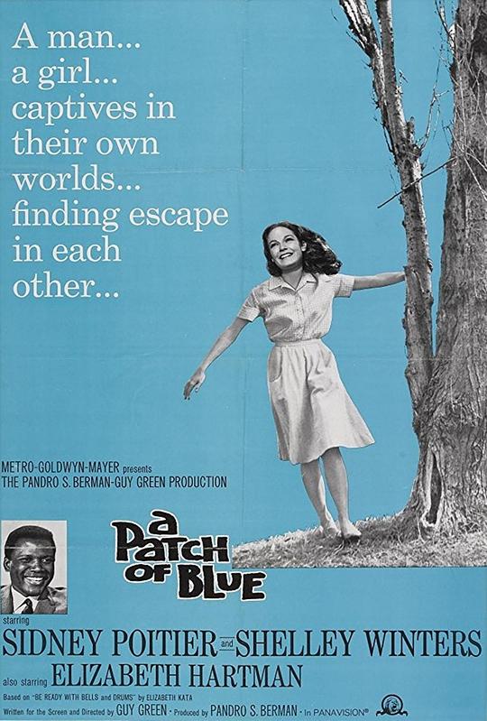 再生缘 A Patch of Blue (1965)