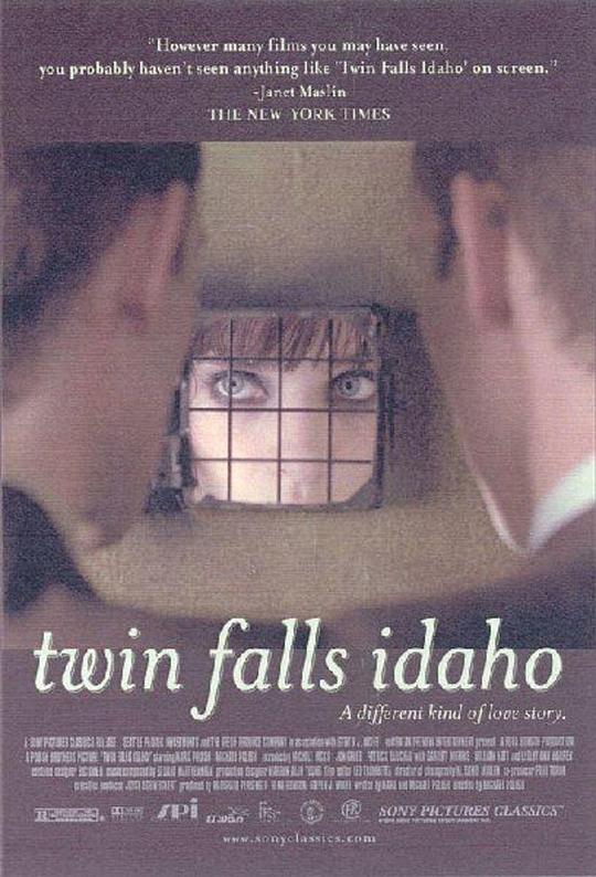 双子的天空 Twin Falls Idaho (1999)