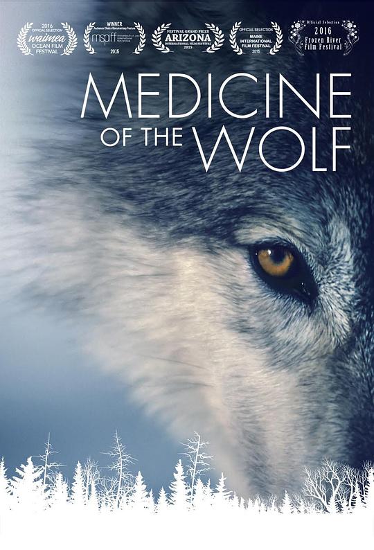 狼医学 Medicine of the Wolf (2015)