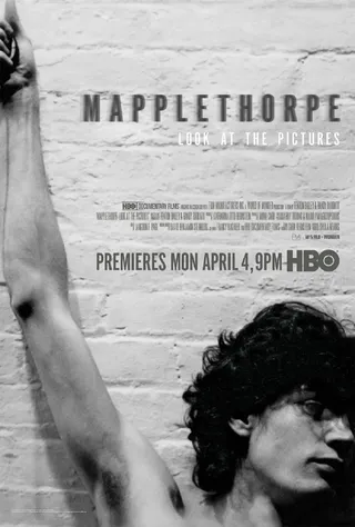 罗伯特·梅普勒索普：看看那些照片 Mapplethorpe: Look at the Pictures (2016)