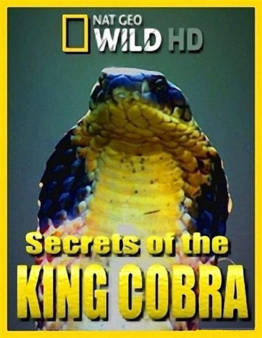 眼镜蛇的秘密 Secrets of the King Cobra (2010)