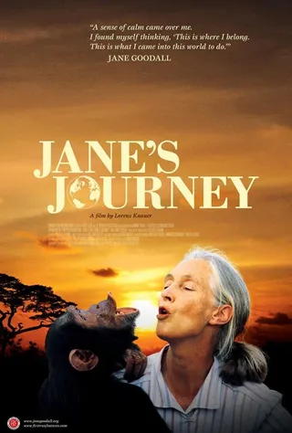 真爱旅程 Jane's Journey (2010)