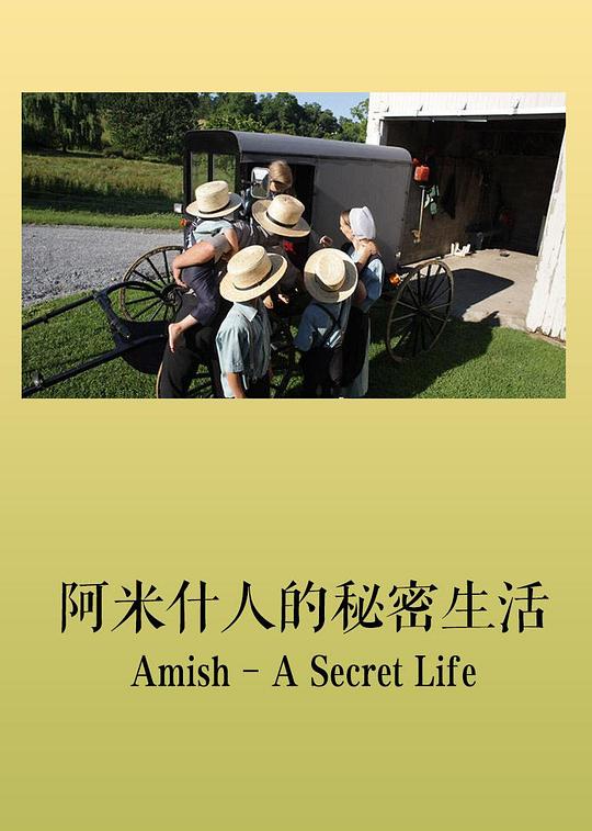 阿米什：秘密的生活 Amish: A Secret Life (2012)