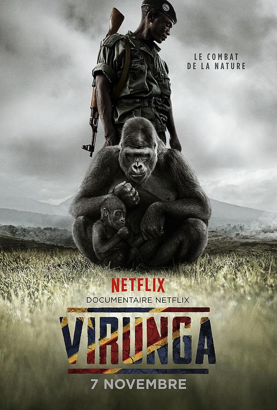 维龙加 Virunga (2014)