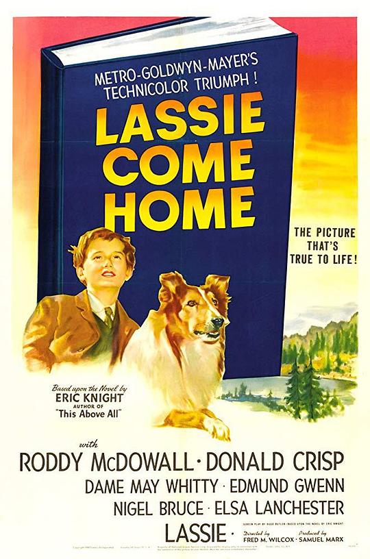 灵犬莱西 Lassie Come Home (1943)