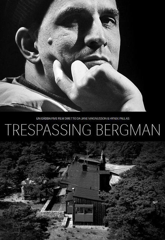 打扰伯格曼 Trespassing Bergman (2013)
