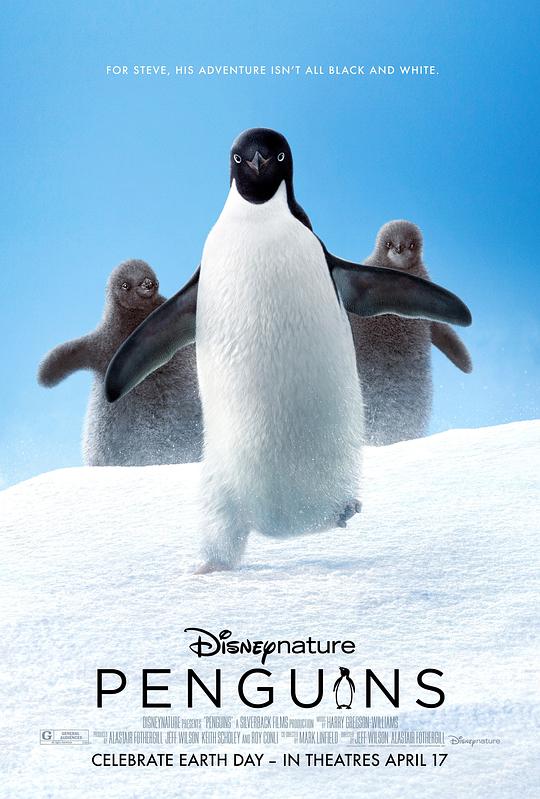 企鹅 Penguins (2019)
