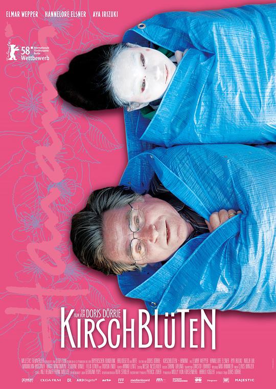 樱花盛开 Kirschblüten - Hanami (2008)