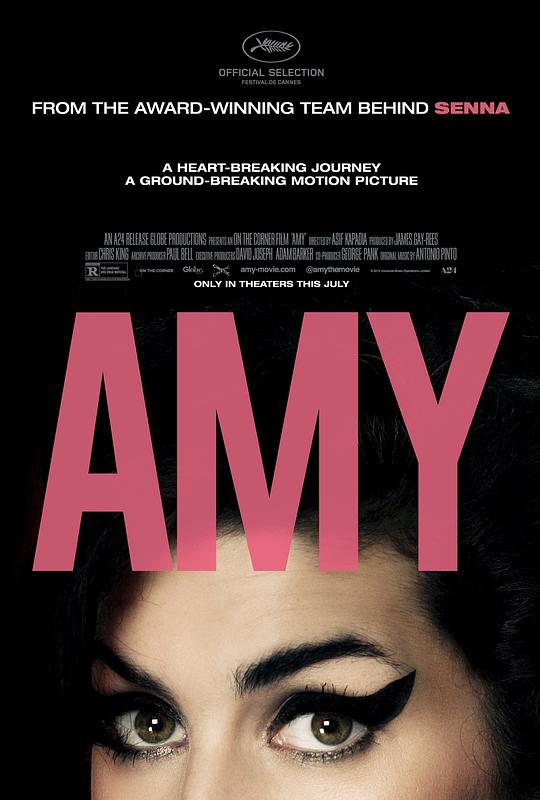 艾米 Amy (2015)