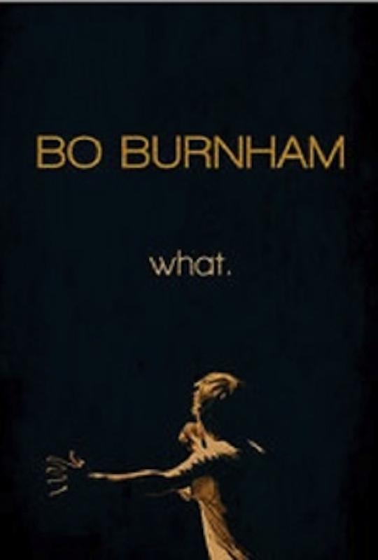 博·伯翰：什么。 Bo Burnham: What (2013)