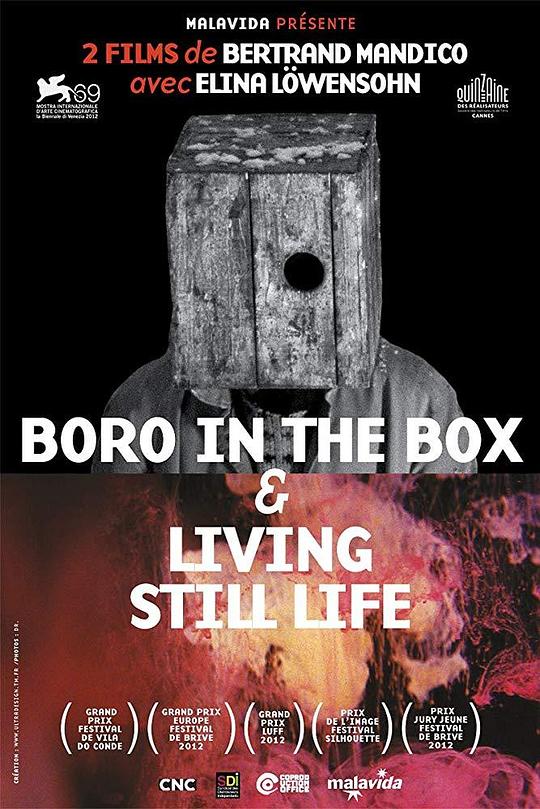 盒中博罗 Boro In The Box (2011)