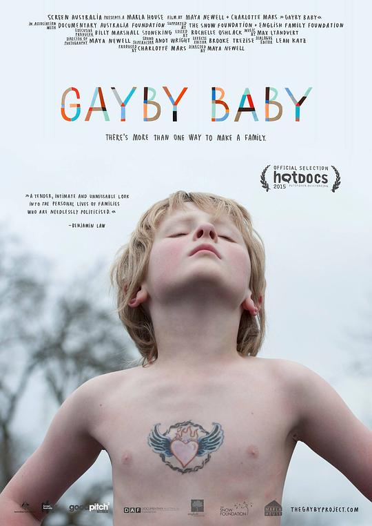 同志宝贝 Gayby Baby (2015)