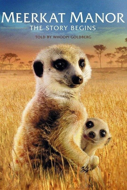 蒙哥一家的故事 Meerkat Manor: The Story Begins (2008)