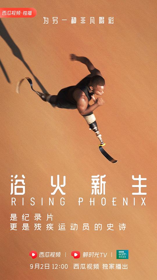 浴火新生 Rising Phoenix (2020)