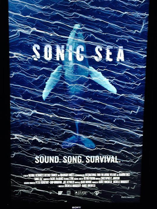 噪音海洋 Sonic Sea (2015)