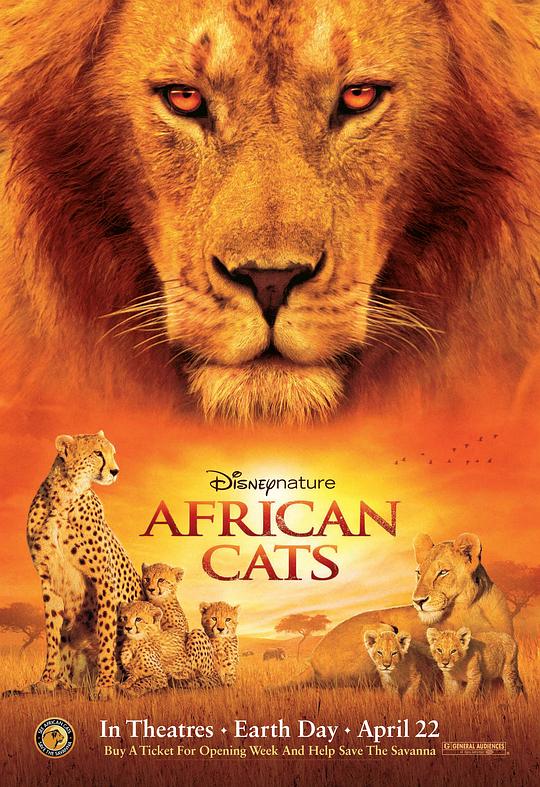 非洲猫科 African Cats (2011)