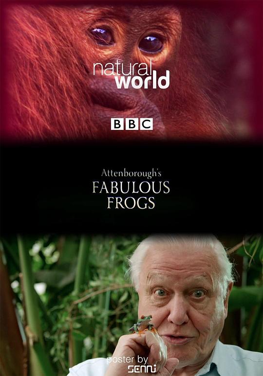 大自然：爱登保罗爷爷带你看绝妙的蛙 Nature: Attenborough's Fabulous Frogs (2014)