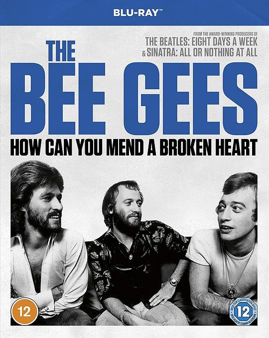 比吉斯：如何修复受伤心灵 The Bee Gees: How Can You Mend a Broken Heart (2020)