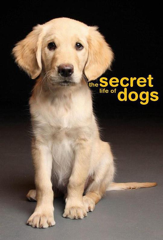 狗的秘密生活 Secret Life of Dogs (2013)