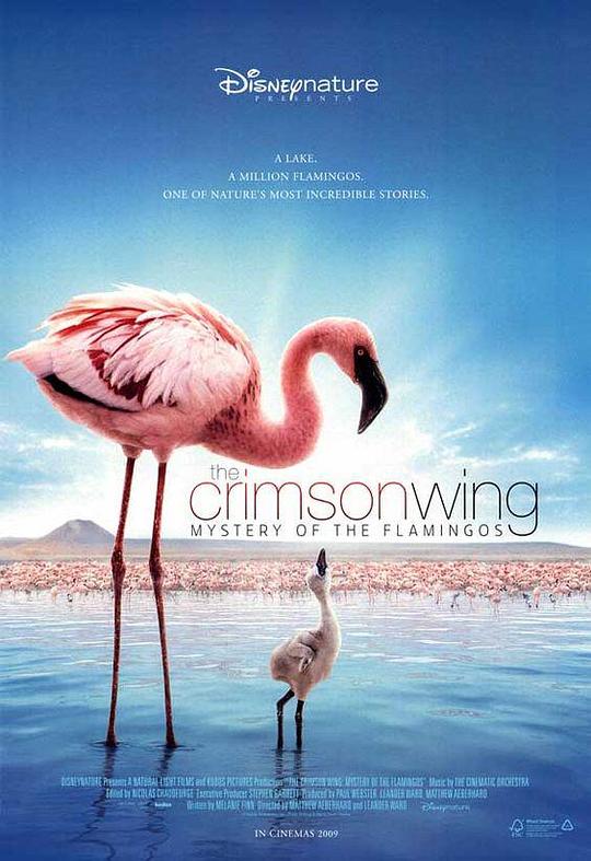 红色翅膀：火烈鸟故事 The Crimson Wing: Mystery of the Flamingos (2008)
