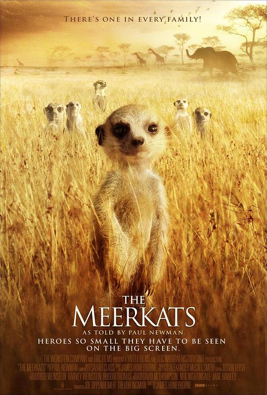 蒙哥 The Meerkats (2008)