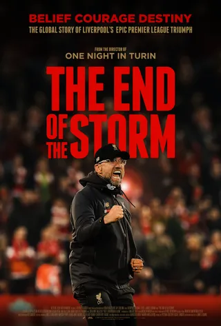 风暴尽头 The End of the Storm (2020)