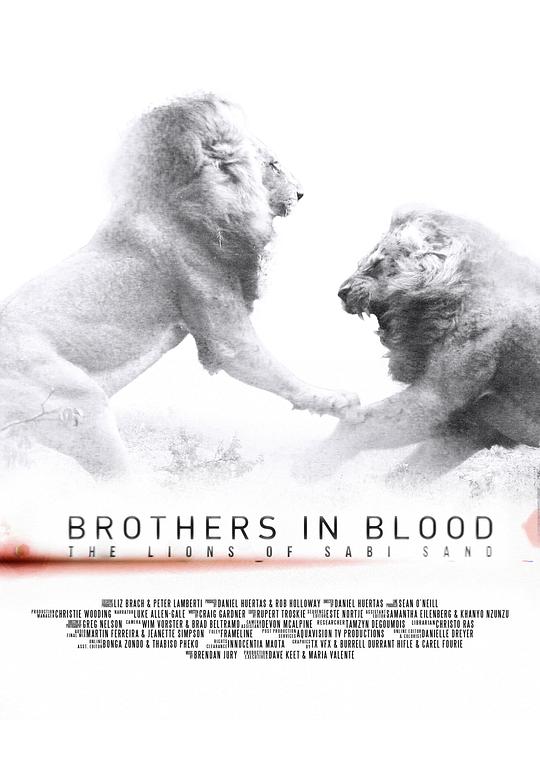 狮王之路 Brothers in Blood: The Lions of Sabi Sand (2015)