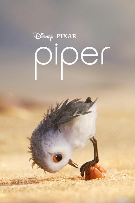 鹬 Piper (2016)