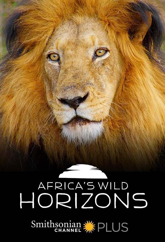 非洲狂野地平线 Africa's Wild Horizons (2015)