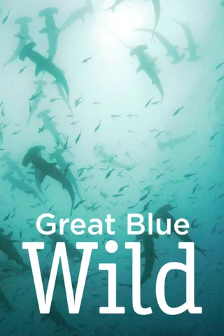 无垠的狂野蓝海 第一季 Great Blue Wild Season 1 (2015)